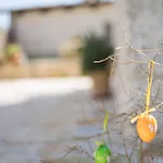 Le Dieci Porte Alberobello