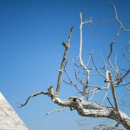 Апарт-отель Le Dieci Porte Альберобелло